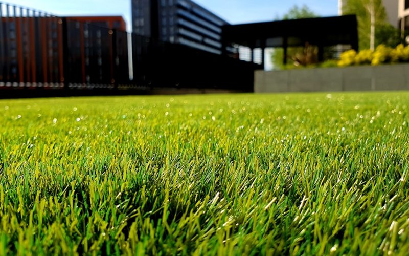 Home landscaping